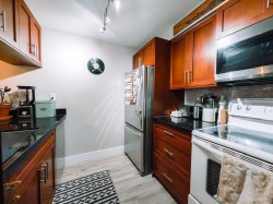 205-1270 Robson Street Vancouver, BC V6E 3Z6