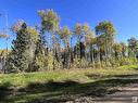 Lot 7 Forest Road (Rr 214), Rural Athabasca County, AB 