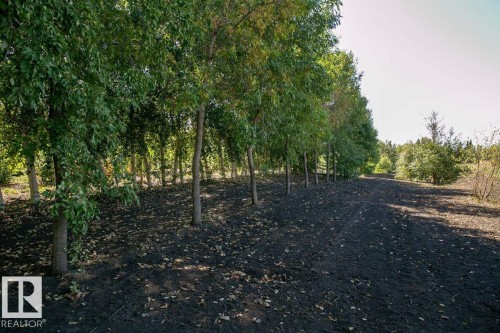 1730 Ellerslie Road Sw, Edmonton, AB - Outdoor With View