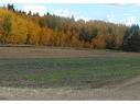 #2 470 Twp 243A Rge Rd, Rural Wetaskiwin County, AB 