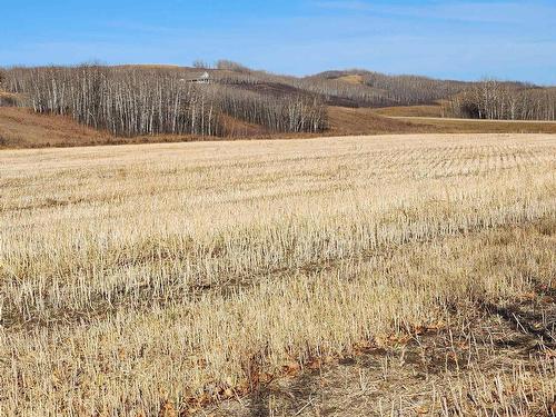 7308 Twp Rd 562, Rural St. Paul County, AB - Outdoor