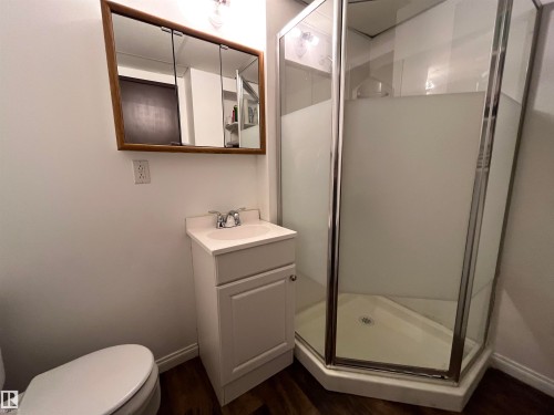 5414 Circle Drive, Elk Point, AB - Indoor Photo Showing Bathroom