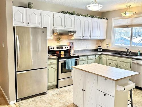 5109 50 Street, Elk Point, AB - Indoor Photo Showing Kitchen With Double Sink