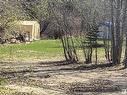 95 4319 Lakeshore Rd, Rural Parkland County, AB 