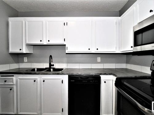 101 12408 161 Avenue, Edmonton, AB - Indoor Photo Showing Kitchen With Double Sink