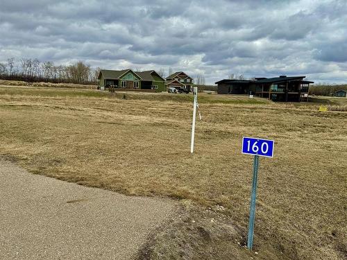 160 Lakeshore Cl, Rural Camrose County, AB 