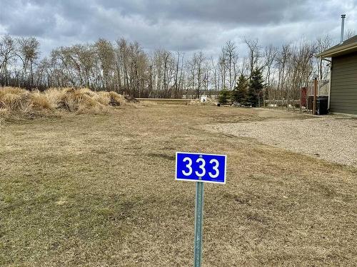 333 Lakeview Av, Rural Camrose County, AB 