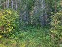 3, 53424 Rge Rd 60, Rural Parkland County, AB 