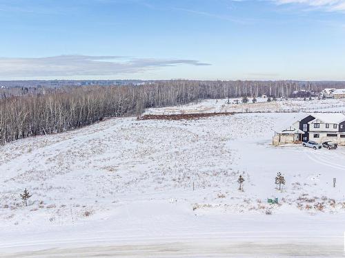 29 53524 Rge Rd 275, Rural Parkland County, AB 