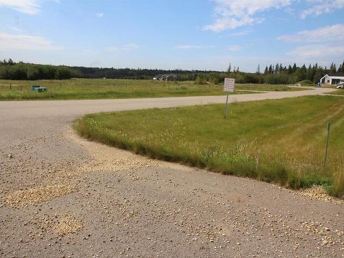 1120 49320 Range Rd. 240A, Rural Leduc County, AB 