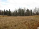 East Bank Road & Range Road 140A, Rural Yellowhead, AB 