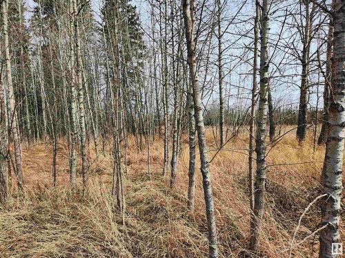 7320 Twp Rd 524, Rural Parkland County, AB 