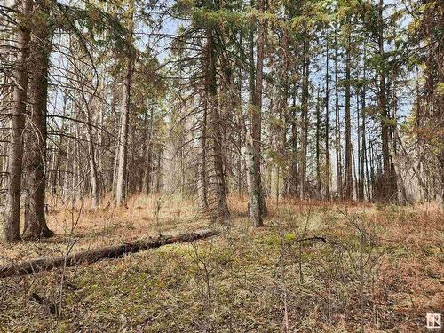 7320 Twp Rd 524, Rural Parkland County, AB 