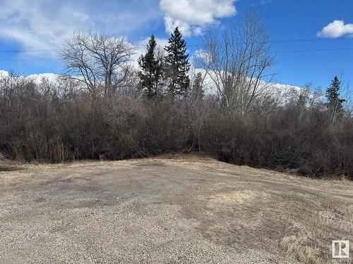 56103 Hwy 28A, Gibbons, AB 