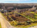 53232 Rge Rd 62, Rural Parkland County, AB 