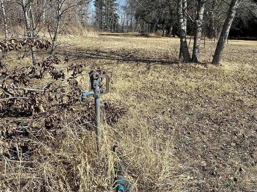 Rural Westlock County, AB 