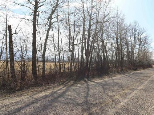 27131 Twp Rd 513, Rural Parkland County, AB 