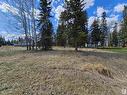 106 2 Street W, Rural Wetaskiwin County, AB 