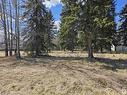 106 2 Street W, Rural Wetaskiwin County, AB 