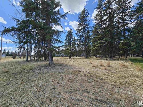 106 2 St W, Rural Wetaskiwin County, AB 