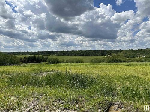 B 23509 Twp Rd 484, Rural Leduc County, AB 