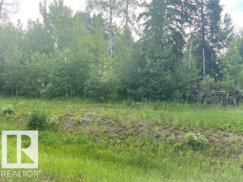 12 Fraser Drive, Breton, AB 