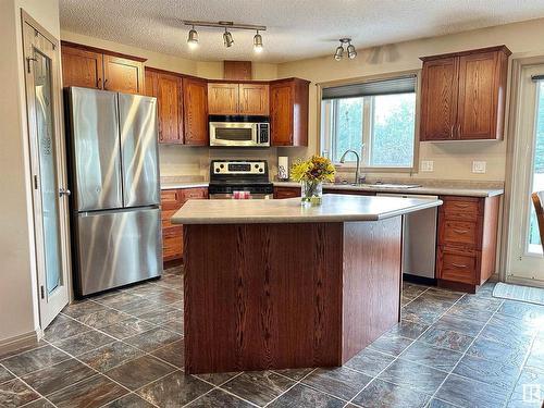 220 61209 Range Road 465, Rural Bonnyville M.D., AB - Indoor Photo Showing Kitchen With Stainless Steel Kitchen With Double Sink