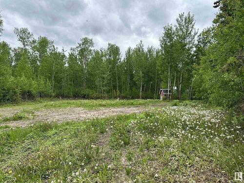 5619 49 St, Rural Lac Ste. Anne County, AB 