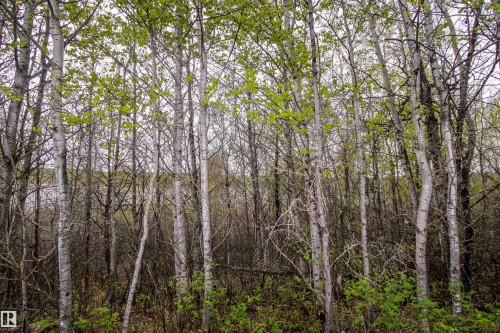 Twp 600 Hwy 28, Rural St. Paul County, AB 