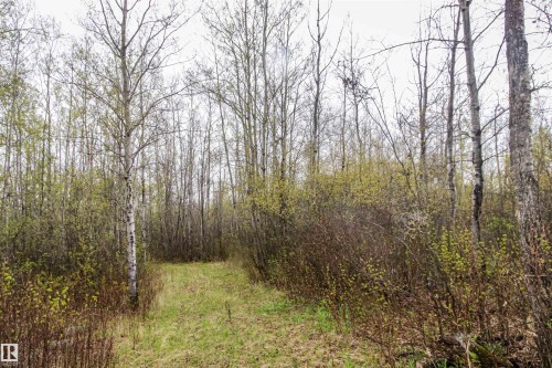 Twp 600 Hwy 28, Rural St. Paul County, AB 