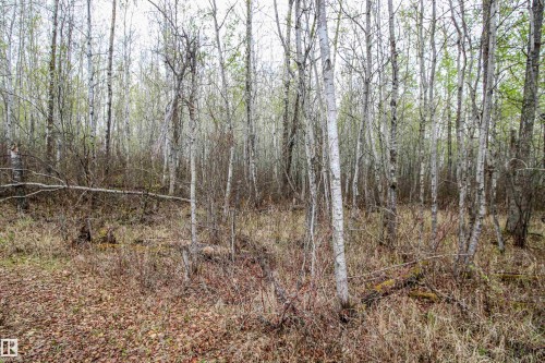 Twp 600 Hwy 28, Rural St. Paul County, AB 