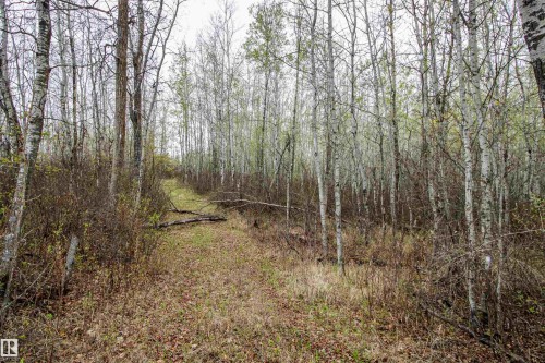 Twp 600 Hwy 28, Rural St. Paul County, AB 