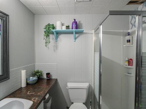 4502 46 Avenue, St. Paul Town, AB - Indoor Photo Showing Bathroom