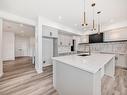 1401 Ainslie Wynd, Edmonton, AB  - Indoor Photo Showing Kitchen With Upgraded Kitchen 