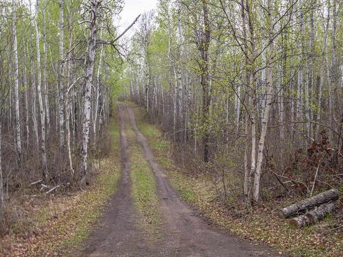 113051 Twp Rd 534, Rural Two Hills County, AB 