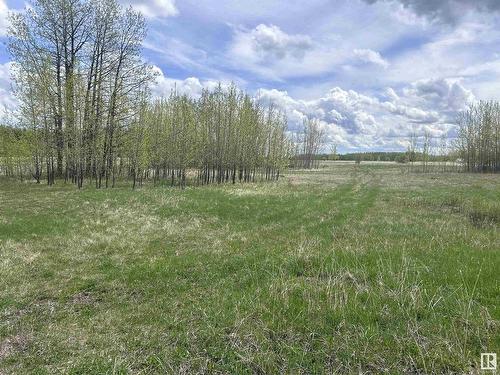 206 49505 Range Road 80, Rural Brazeau County, AB 