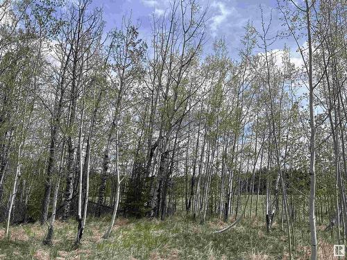 206 49505 Range Road 80, Rural Brazeau County, AB 