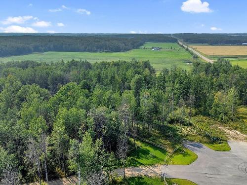 27331 Township Road 481, Rural Leduc County, AB 