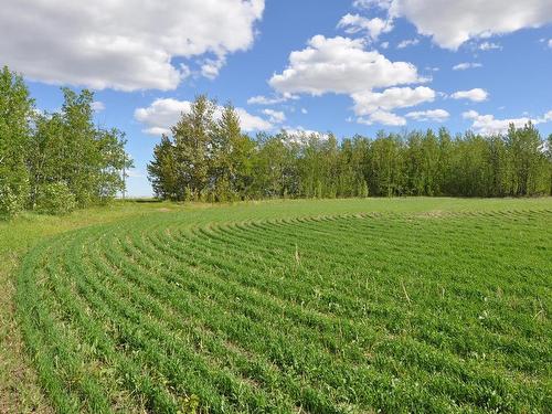 Twp 562 & 261 Range Road, Rural Sturgeon County, AB 