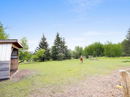 42 27528 Twp Rd 540, Rural Parkland County, AB 