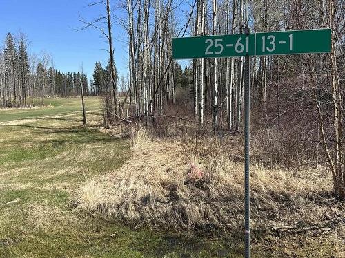 25 22458 Twp Rd 510, Rural Strathcona County, AB 