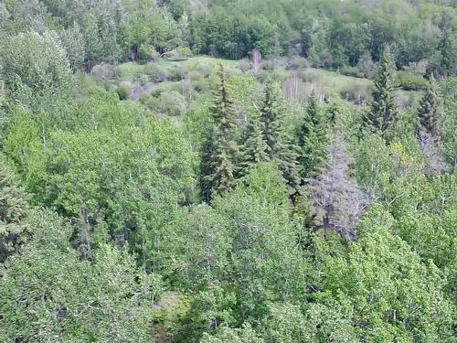 20440 Twp Rd 510, Rural Strathcona County, AB 