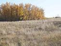 17 53214 Rge Rd 13, Rural Parkland County, AB 