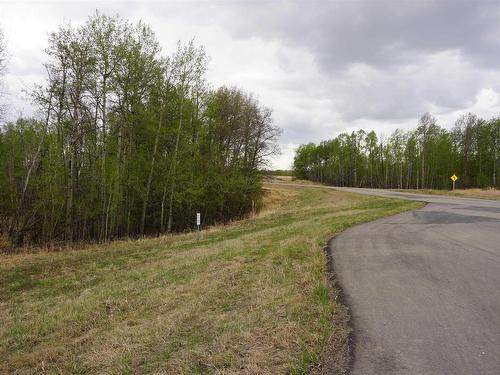 33 53214 Rge Rd 13, Rural Parkland County, AB 