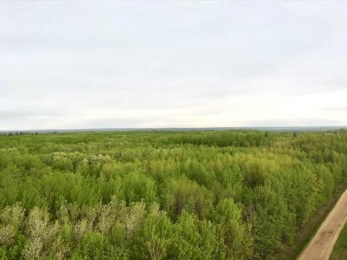 56115 Rr 24, Rural Lac Ste. Anne County, AB 