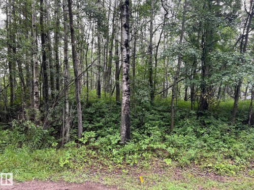 2130 2001 Twp Rd 474, Rural Leduc County, AB 