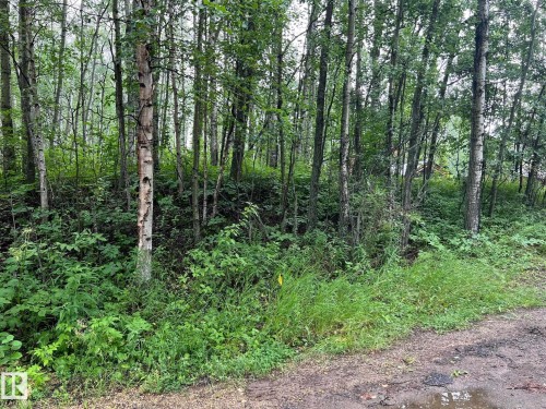 2130 2001 Twp Rd 474, Rural Leduc County, AB 