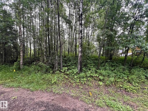 2130 2001 Twp Rd 474, Rural Leduc County, AB 