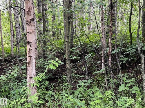 2130 2001 Twp Rd 474, Rural Leduc County, AB 