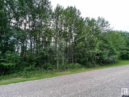 2130 2001 Twp Rd 474, Rural Leduc County, AB 